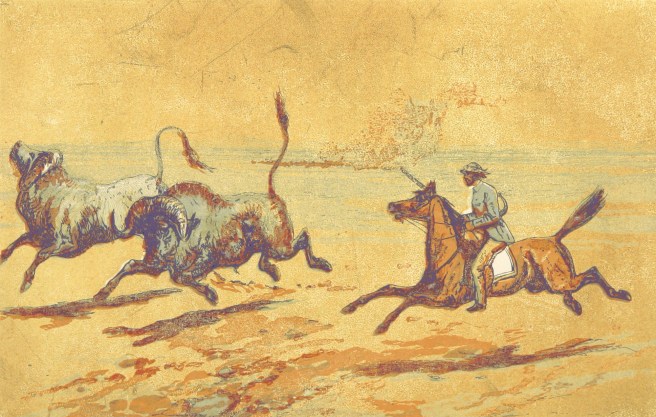 11056204173_d9128c972a_o